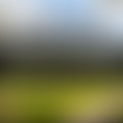 Innovative Design Trends for Steel and Glass Venue Structures